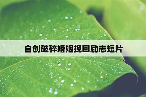 自创破碎婚姻挽回励志短片