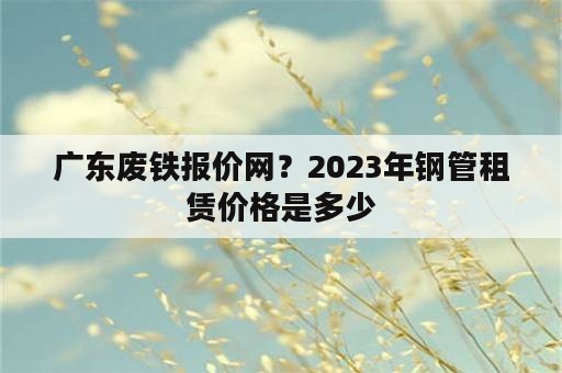 广东废铁报价网？2023年钢管租赁价格是多少