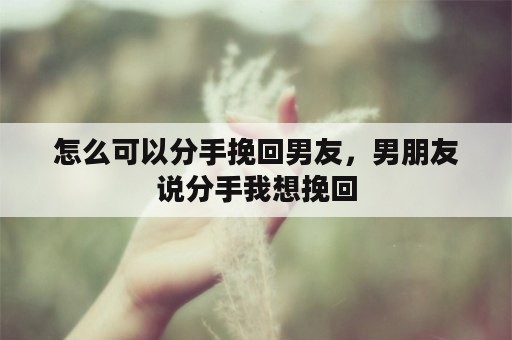 怎么可以分手挽回男友，男朋友说分手我想挽回