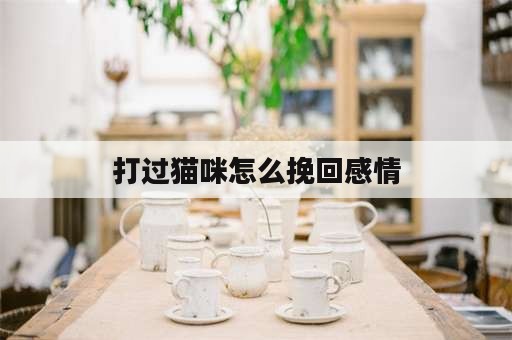 打过猫咪怎么挽回感情