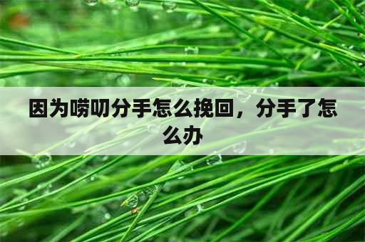 因为唠叨分手怎么挽回，分手了怎么办