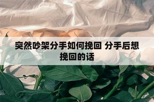 突然吵架分手如何挽回 分手后想挽回的话