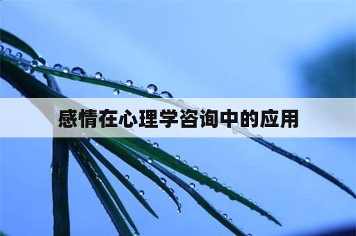 感情在心理学咨询中的应用