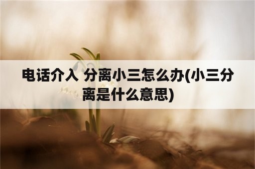 电话介入 分离小三怎么办(小三分离是什么意思)