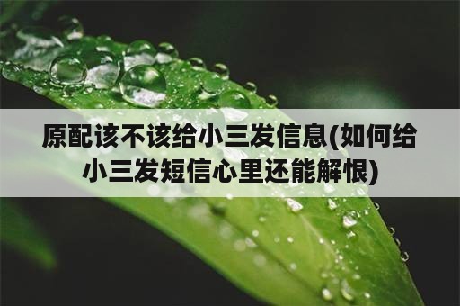 原配该不该给小三发信息(如何给小三发短信心里还能解恨)