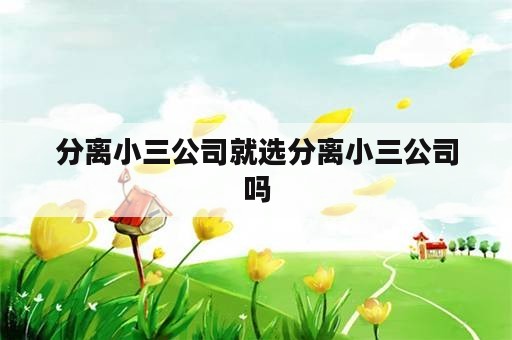 分离小三公司就选分离小三公司吗