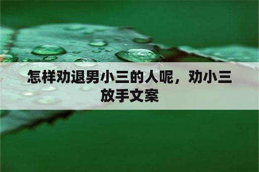 怎样劝退男小三的人呢，劝小三放手文案