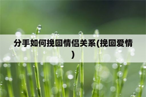 分手如何挽回情侣关系(挽回爱情)