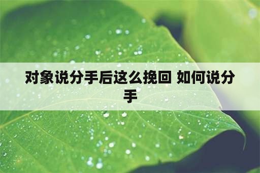 对象说分手后这么挽回 如何说分手