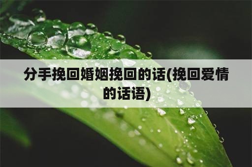 分手挽回婚姻挽回的话(挽回爱情的话语)