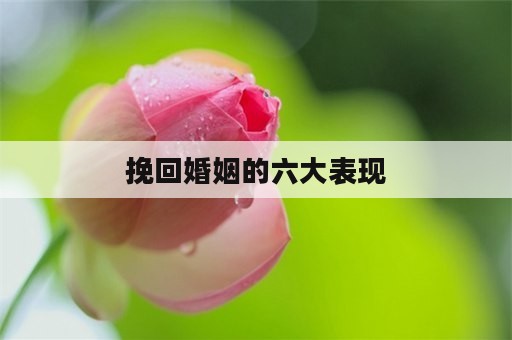 挽回婚姻的六大表现