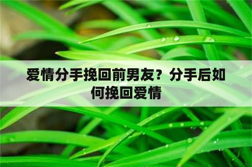 爱情分手挽回前男友？分手后如何挽回爱情