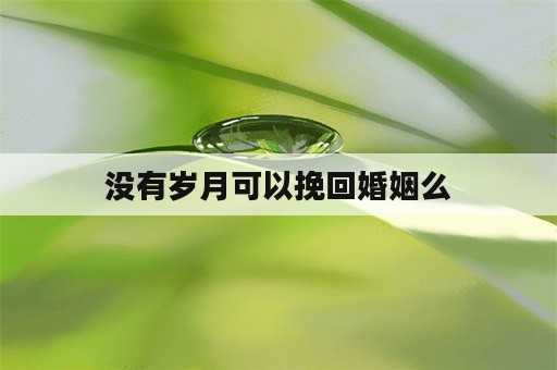 没有岁月可以挽回婚姻么