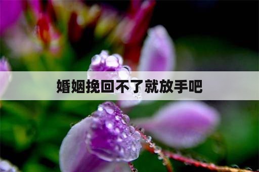 婚姻挽回不了就放手吧