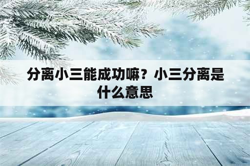 分离小三能成功嘛？小三分离是什么意思