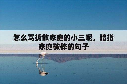 怎么骂拆散家庭的小三呢，暗指家庭破碎的句子