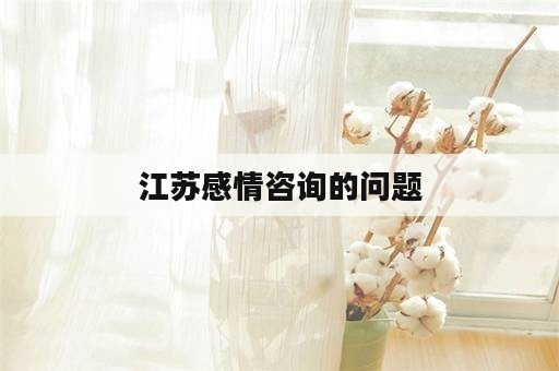 江苏感情咨询的问题