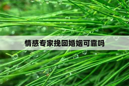 情感专家挽回婚姻可靠吗