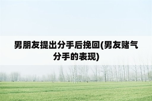 男朋友提出分手后挽回(男友赌气分手的表现)