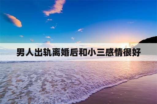 男人出轨离婚后和小三感情很好