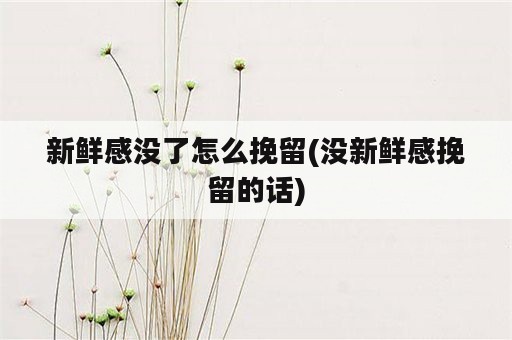 新鲜感没了怎么挽留(没新鲜感挽留的话)