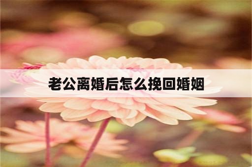 老公离婚后怎么挽回婚姻