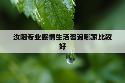 汝阳专业感情生活咨询哪家比较好