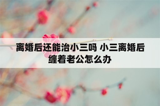 离婚后还能治小三吗 小三离婚后缠着老公怎么办