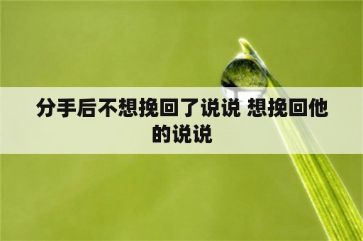 分手后不想挽回了说说 想挽回他的说说