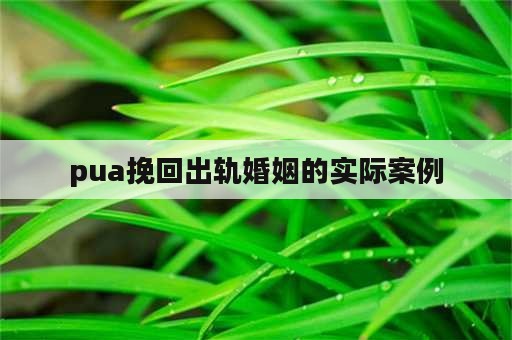 pua挽回出轨婚姻的实际案例