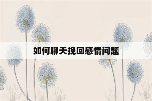 如何聊天挽回感情问题