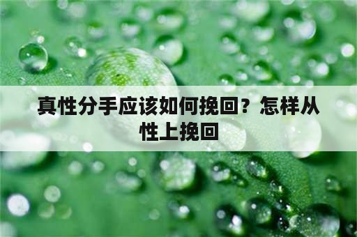 真性分手应该如何挽回？怎样从性上挽回