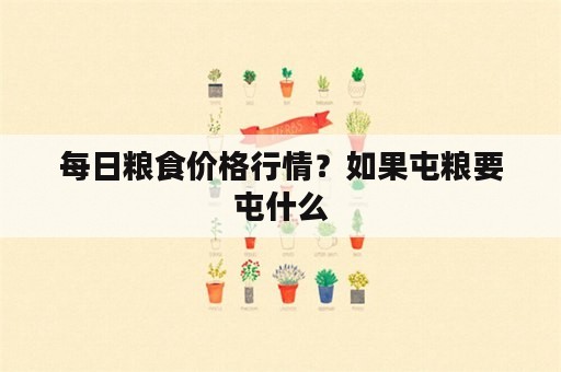 每日粮食价格行情？如果屯粮要屯什么