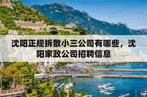 沈阳正规拆散小三公司有哪些，沈阳家政公司招聘信息