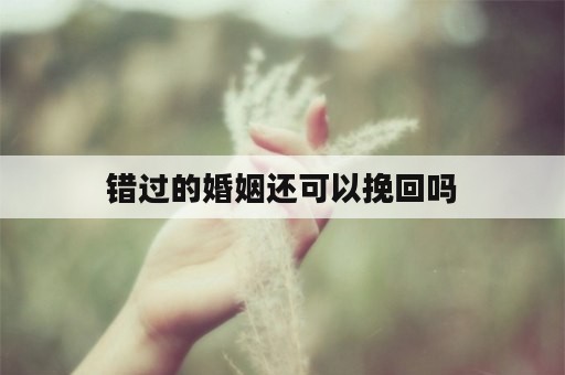 错过的婚姻还可以挽回吗