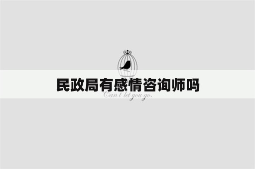 民政局有感情咨询师吗