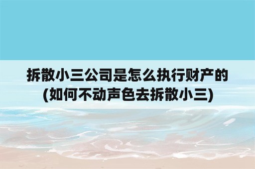 拆散小三公司是怎么执行财产的(如何不动声色去拆散小三)