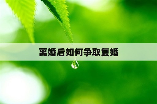 离婚后如何争取复婚