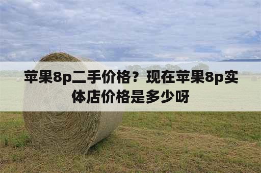 苹果8p二手价格？现在苹果8p实体店价格是多少呀