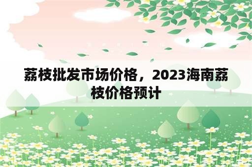 荔枝批发市场价格，2023海南荔枝价格预计