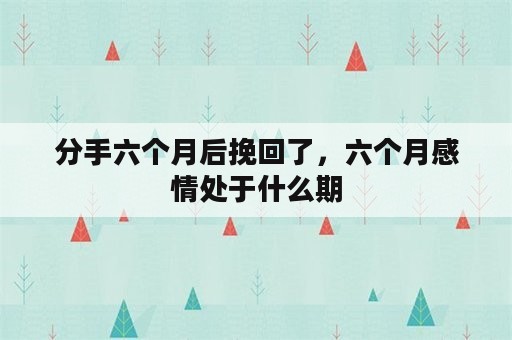 分手六个月后挽回了，六个月感情处于什么期