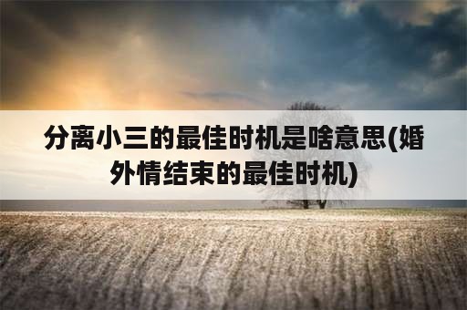 分离小三的最佳时机是啥意思(婚外情结束的最佳时机)