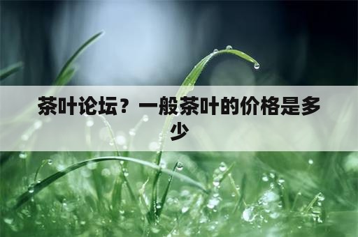 茶叶论坛？一般茶叶的价格是多少