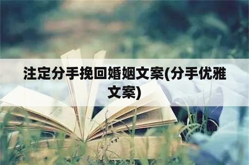 注定分手挽回婚姻文案(分手优雅文案)