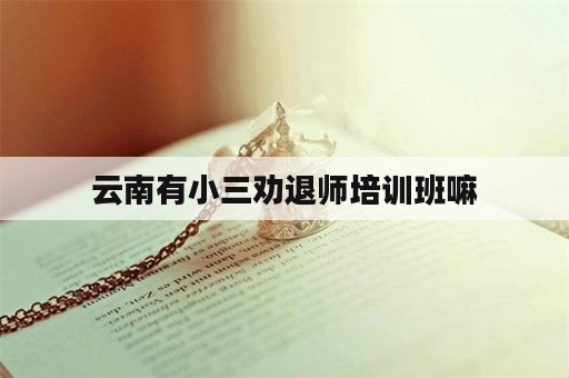 云南有小三劝退师培训班嘛