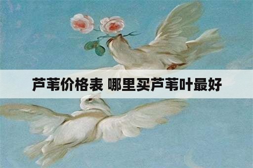 芦苇价格表 哪里买芦苇叶最好