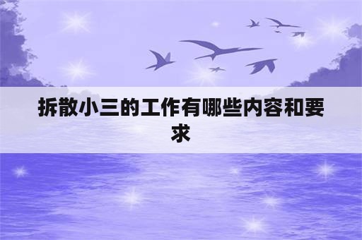 拆散小三的工作有哪些内容和要求