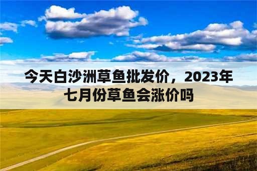 今天白沙洲草鱼批发价，2023年七月份草鱼会涨价吗