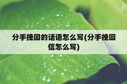 分手挽回的话语怎么写(分手挽回信怎么写)