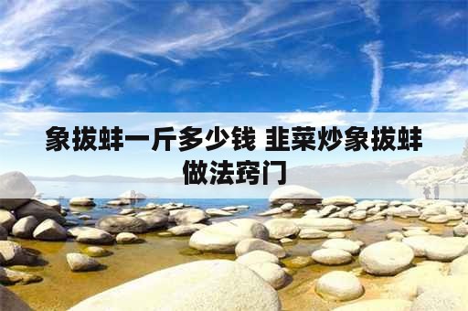 象拔蚌一斤多少钱 韭菜炒象拔蚌做法窍门